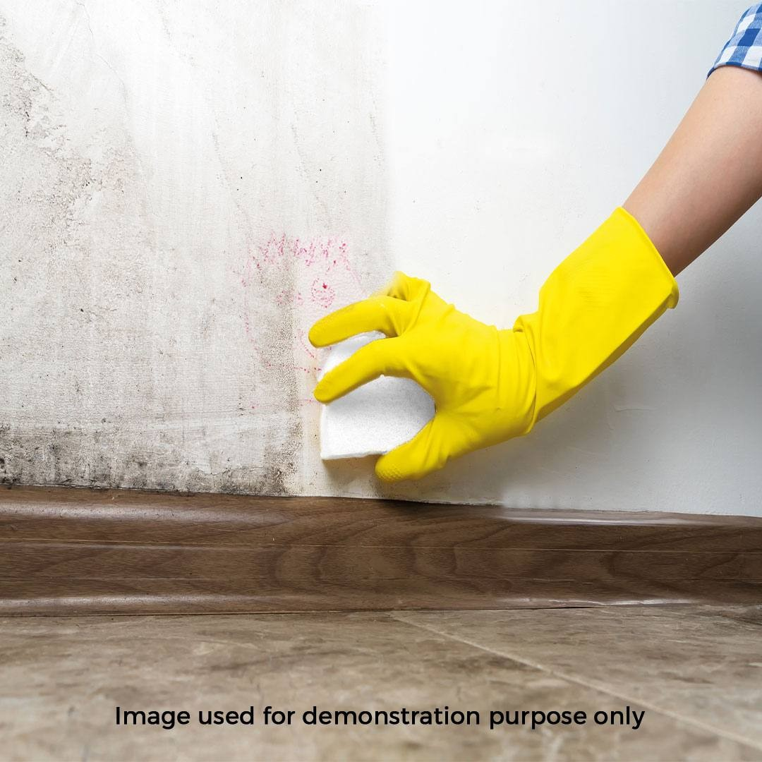 Magic Eraser Sponge (2 pcs)